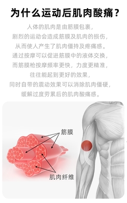 深度評(píng)測(cè) 菠蘿君U1筋膜槍——你的隨身放松專家