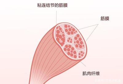 掌中放松利器 每物EM迷你筋膜槍深度評(píng)測(cè)