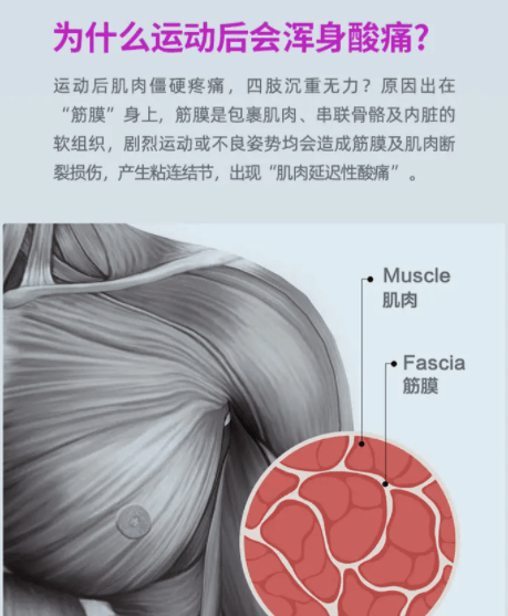 筋膜槍，是放松神器還是健康隱患？揭秘其真實效用與四大潛在風險